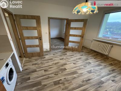 Pronájem bytu 1+1 Jílové, Okružní č. 2