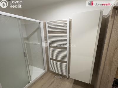 Pronájem bytu 1+1 Jílové, Okružní č. 5