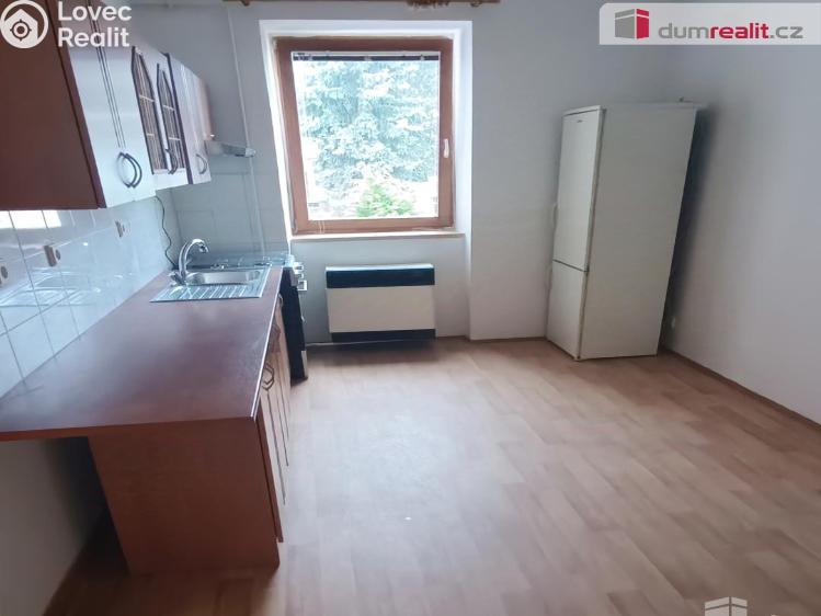Pronájem bytu 1+1 Děčín, Fibichova č. 1