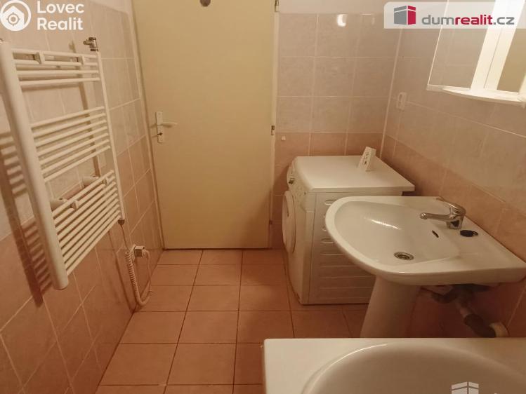 Pronájem bytu 1+1 Děčín, Fibichova č. 7