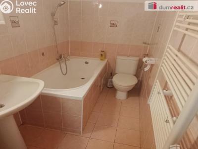 Pronájem bytu 1+1 Děčín, Fibichova č. 8