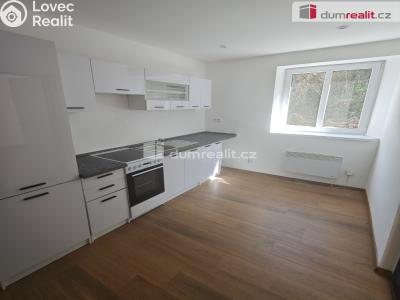 Pronájem bytu 1+1 Františkov nad Ploučnicí č. 18