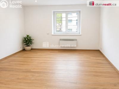 Pronájem bytu 1+1 Františkov nad Ploučnicí č. 11