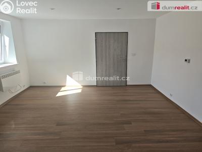 Pronájem bytu 1+1 Františkov nad Ploučnicí č. 24