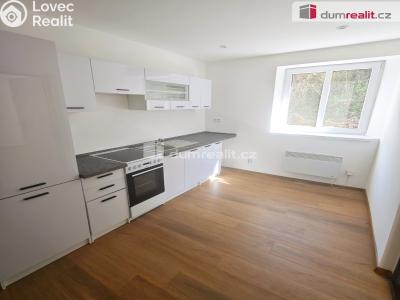 Pronájem bytu 1+1 Františkov nad Ploučnicí č. 40