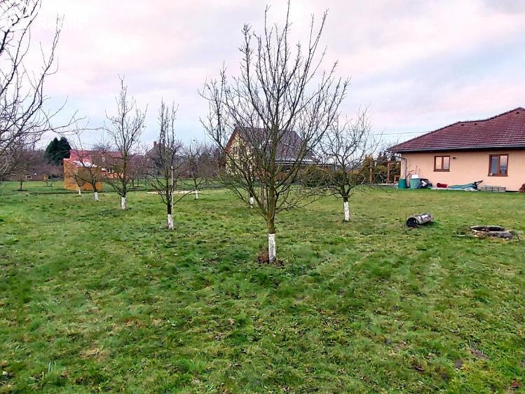 Prodej rodinného domu Pustějov č. 8