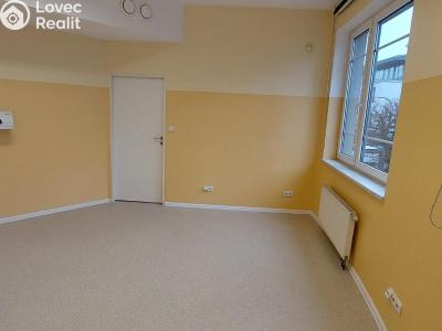 Аренда кабинета врача Vsetín, Smetanova č. 1