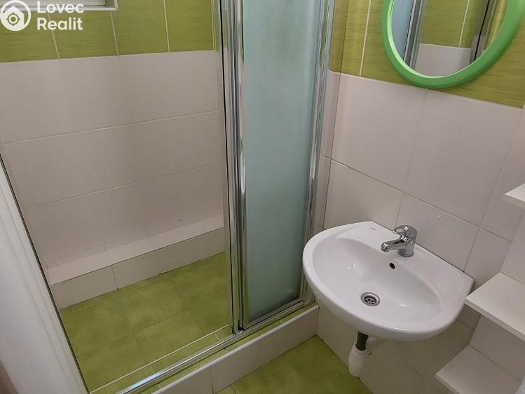 Pronájem bytu 1+KK Valašské Meziříčí, Zašovská č. 14