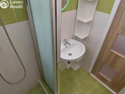 Pronájem bytu 1+KK Valašské Meziříčí, Zašovská č. 2