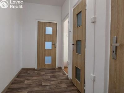 Оренда квартири 1+KK Valašské Meziříčí, Zašovská č. 9