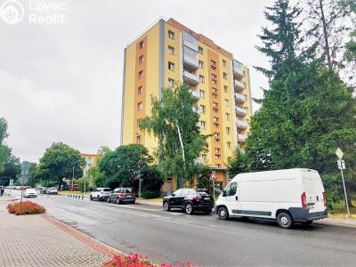 Оренда квартири 1+KK Valašské Meziříčí, Zašovská č. 18