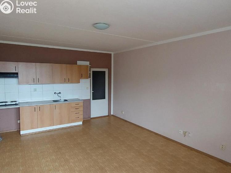 Pronájem bytu 1+KK Valašské Meziříčí, Luční č. 8