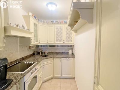 Pronájem bytu 3+KK Praha, Zborovská č. 5