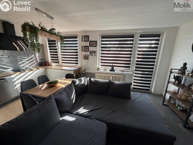 Prodej bytu 3+1 Most, Lidická č. 8