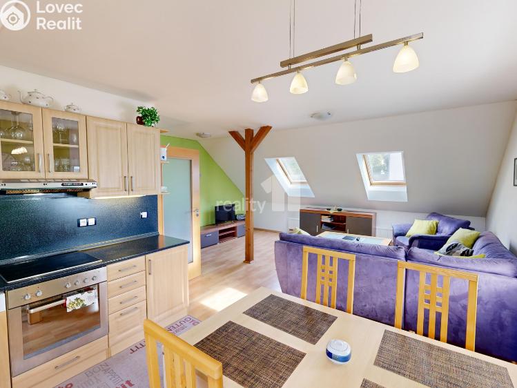 Аренда семейного дома Světlá nad Sázavou, Horní č. 4