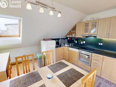 Оренда сімейного будинку Světlá nad Sázavou, Horní č. 2