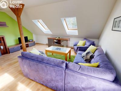 Оренда сімейного будинку Světlá nad Sázavou, Horní č. 6