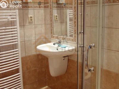 Продаж багатогенного будинку Horní Blatná, Krátká č. 18