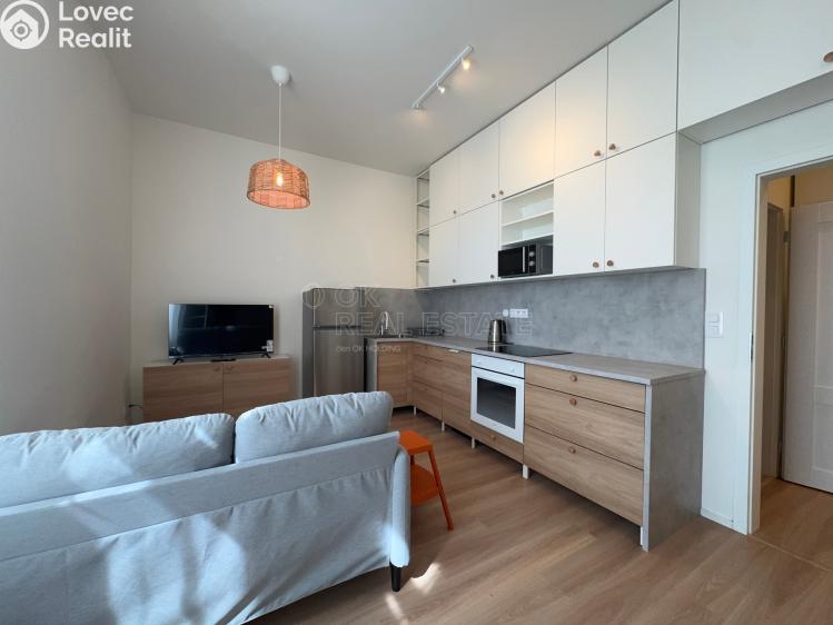 Pronájem bytu 1+KK Ostrava, 28. října 1753/80 č. 2