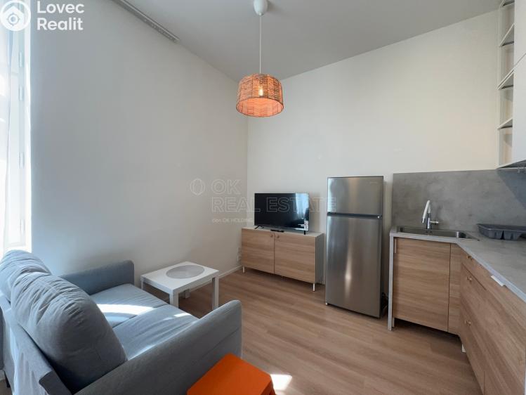 Pronájem bytu 1+KK Ostrava, 28. října 1753/80 č. 3