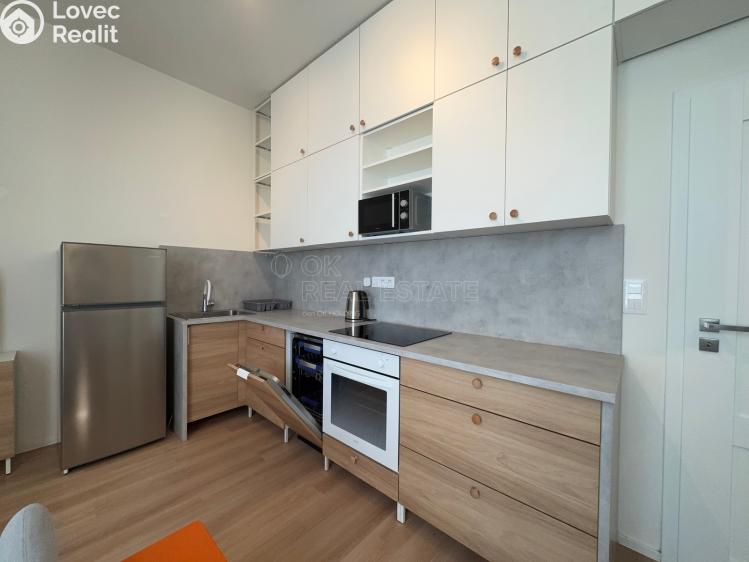 Pronájem bytu 1+KK Ostrava, 28. října 1753/80 č. 5