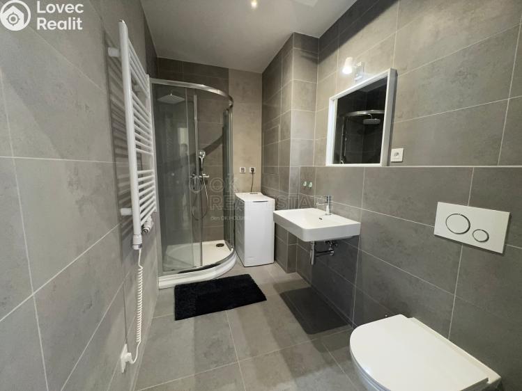 Pronájem bytu 1+KK Ostrava, 28. října 1753/80 č. 12