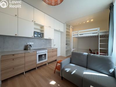 Pronájem bytu 1+KK Ostrava, 28. října č. 1