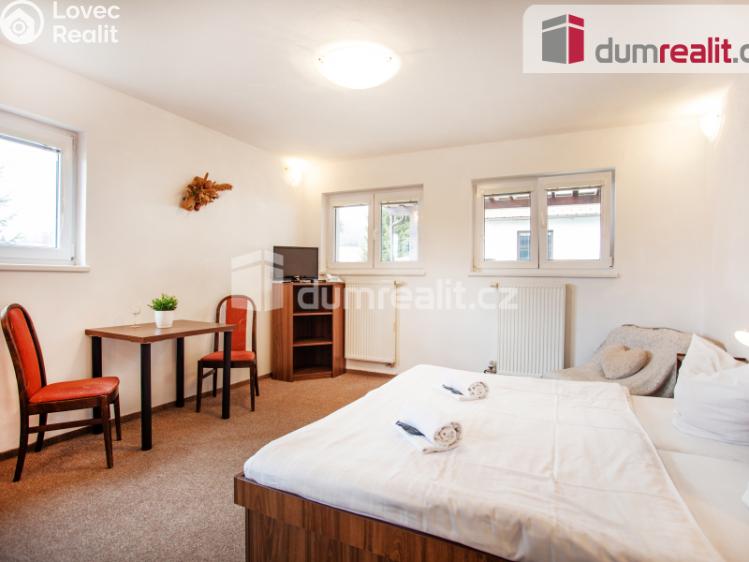 Sale hotel Horní Planá č. 13