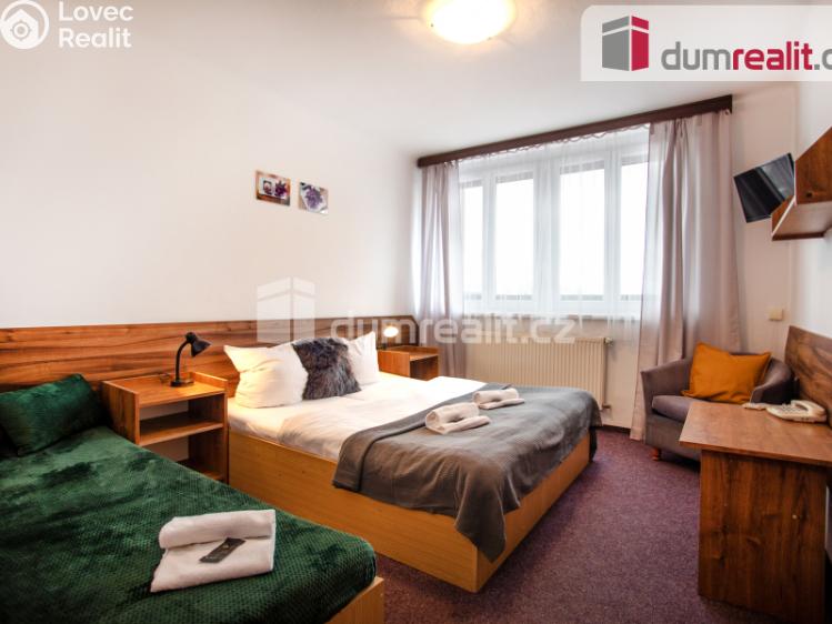 Sale hotel Horní Planá č. 28