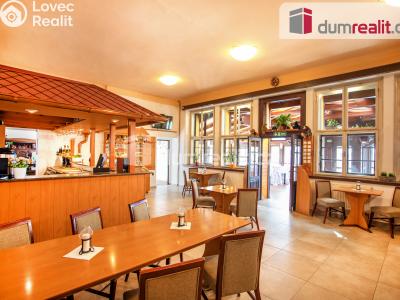 Sale hotel Horní Planá č. 5