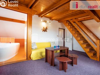 Prodej ubytovacího zařízení Horní Planá č. 23