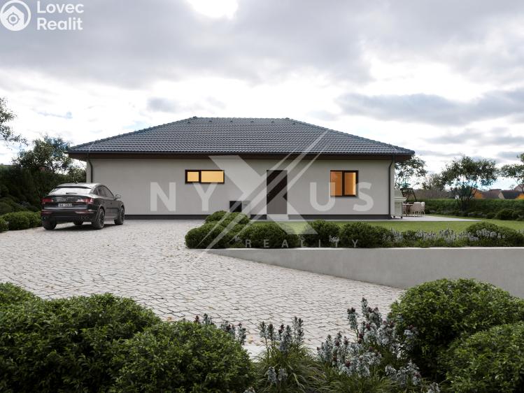 Prodej rodinného domu Pravonín, 166 č. 1