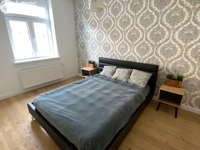 Pronájem bytu 3+KK České Budějovice, Dobrovodská č. 2
