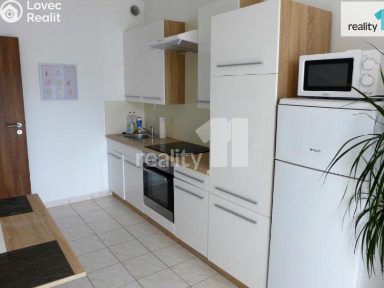 Pronájem bytu 1+1 Karlovy Vary, Spálená č. 4