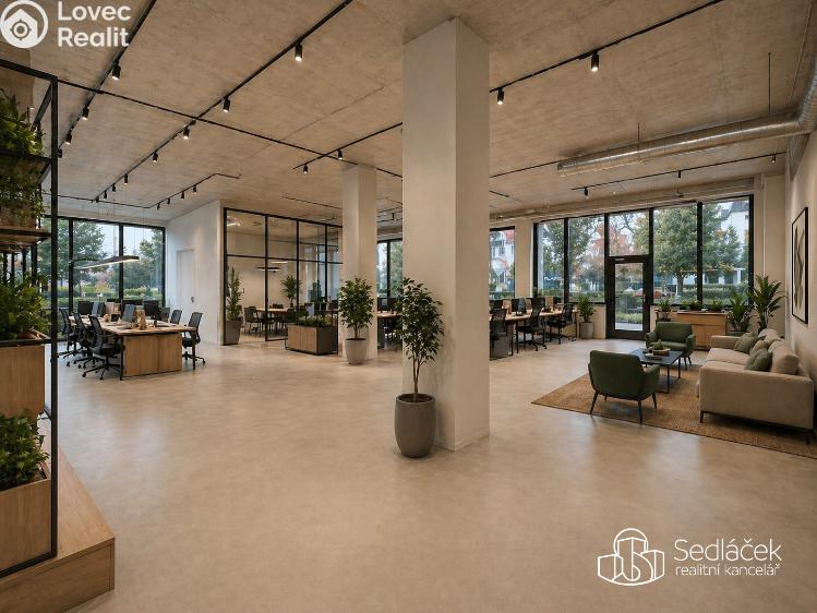 Rent commercial space Sokolov, Boženy Němcové č. 2