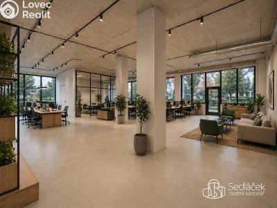 Rent commercial space Sokolov, Boženy Němcové č. 2