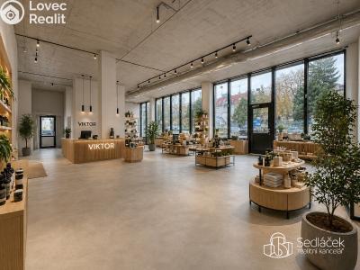 Rent commercial space Sokolov, Boženy Němcové č. 3