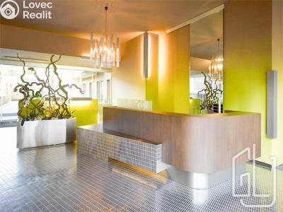 Rent apartment 3+KK Praha, Prokopova č. 3