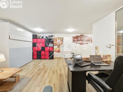 Продаж квартири 1+1 Praha, Za vokovickou vozovnou č. 7