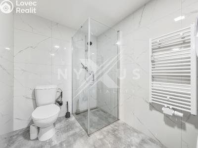 Продаж квартири 1+1 Praha, Za vokovickou vozovnou č. 9