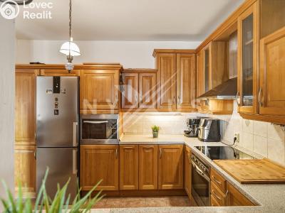 Продаж квартири 3+KK Praha, U hranic č. 21