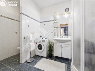 Продаж квартири 3+KK Praha, U hranic č. 23