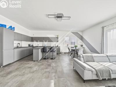 Оренда сімейного будинку Krakovany č. 1