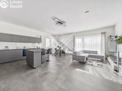 Оренда сімейного будинку Krakovany č. 2