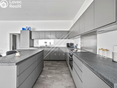 Оренда сімейного будинку Krakovany č. 4