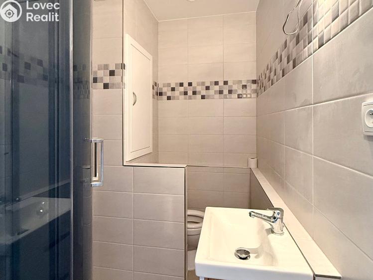 Pronájem bytu 1+1 Mariánské Lázně, Za Tratí 689/6 č. 11