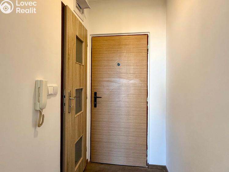 Pronájem bytu 1+1 Mariánské Lázně, Za Tratí 689/6 č. 13