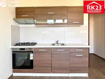 Pronájem bytu 1+1 Mariánské Lázně, Za Tratí č. 2