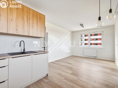 Pronájem bytu 3+KK Praha, Werichova č. 6
