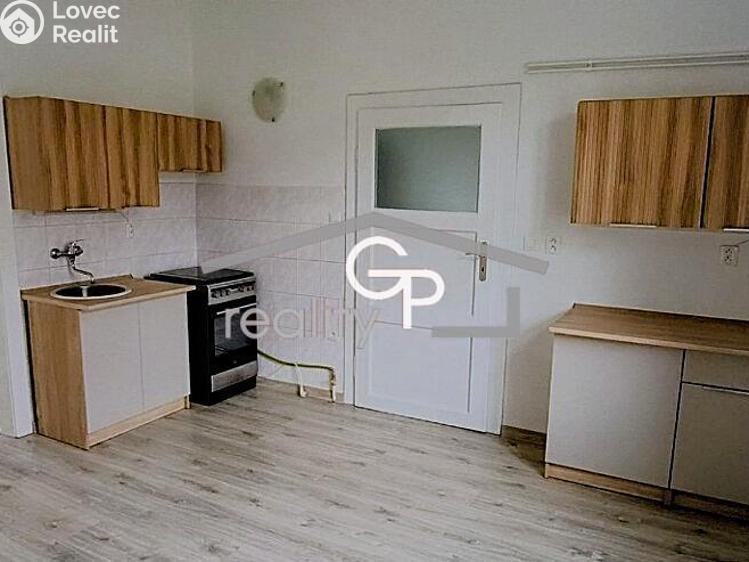 Pronájem bytu 1+1 České Budějovice, E. Beneše 553/24 č. 1